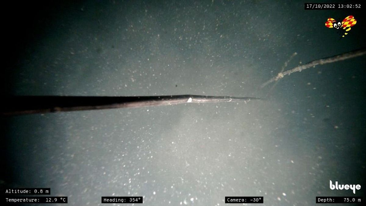 Német lap: A CIA tudhatott az Északi Áramlat elleni ukrán akcióról