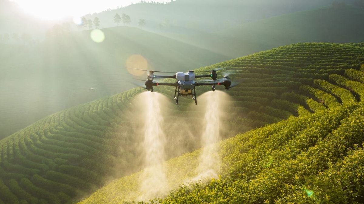Ugrásszerű fejlődés a dróntechnológiában: részben a háború miatt lehetséges a precíz permetezés