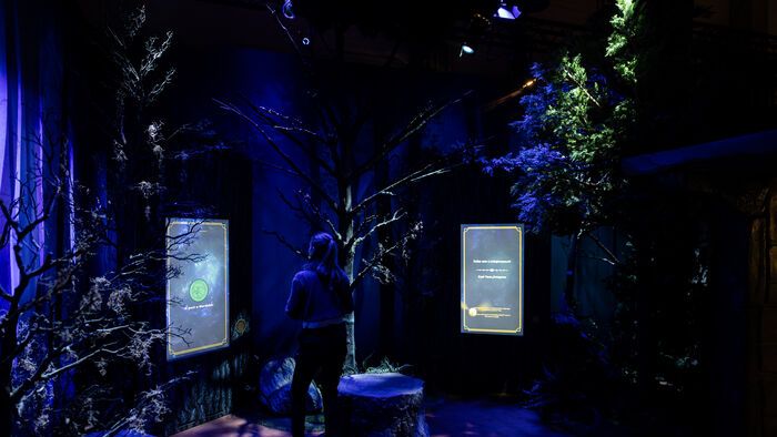 Harry Potter kiállítás