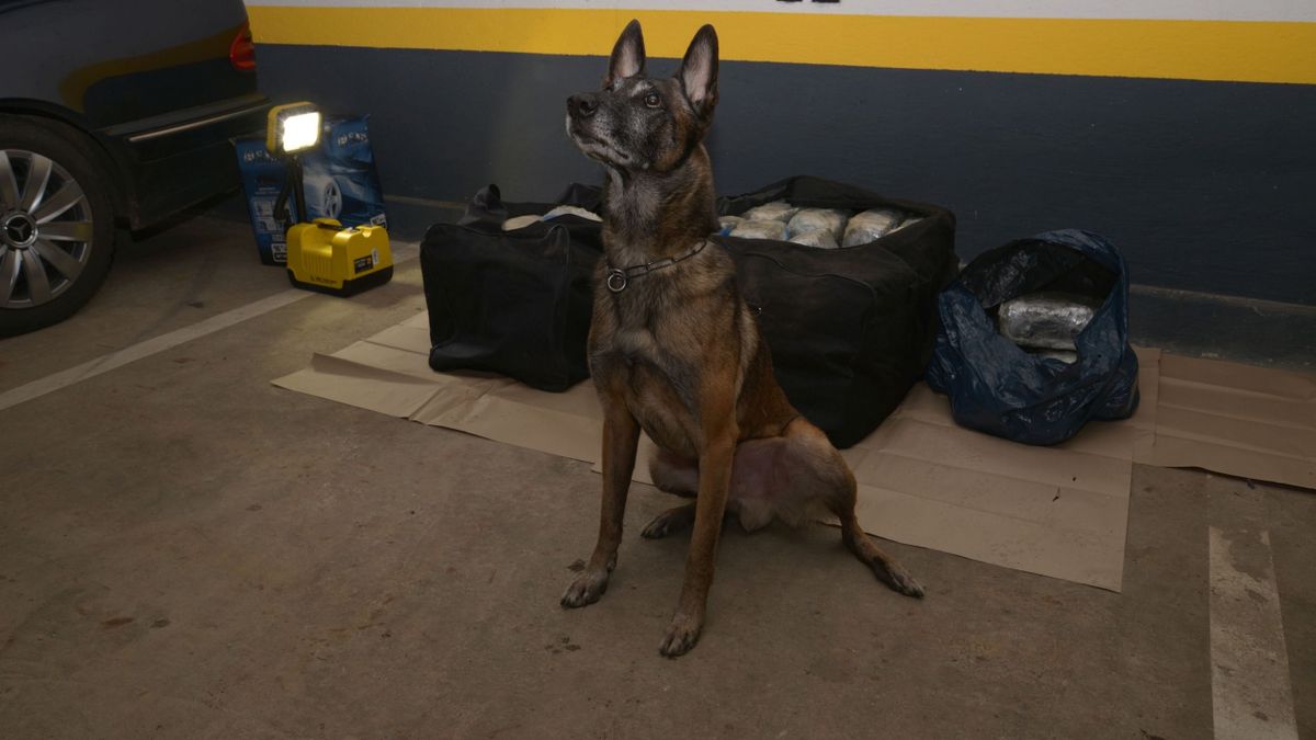 Elítélték a mélygarázsos dílert