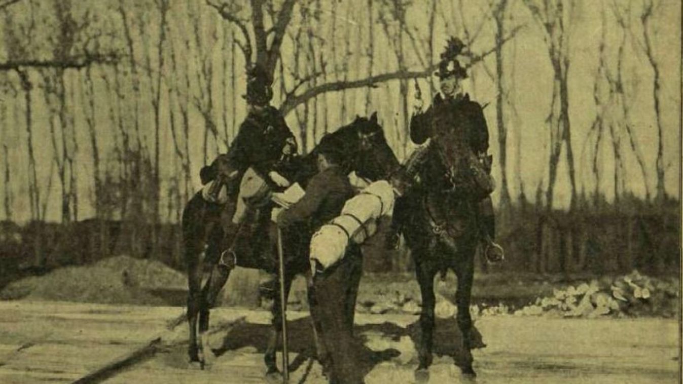 Cikk kép: undefined