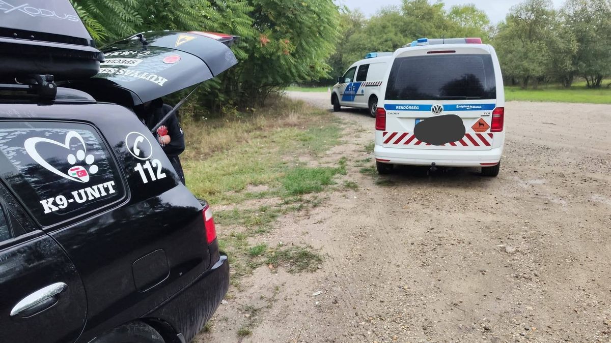 Az ablakon szökött ki az idős férfi, kutyákkal és drónokkal keresték