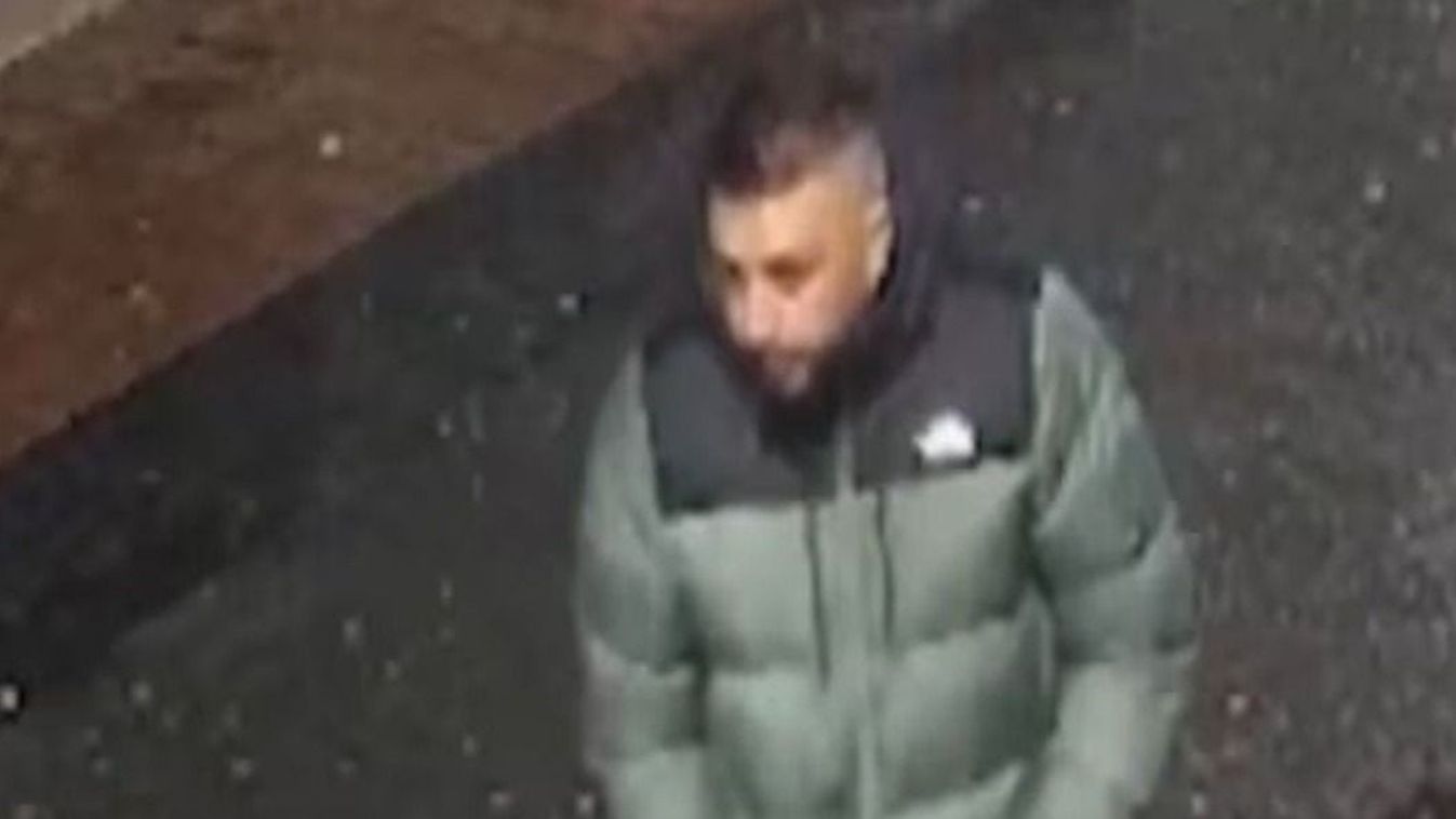 Cikk kép: undefined