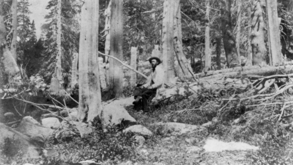 Igazolták a kannibalizmust a Sierra Nevada sziklái között