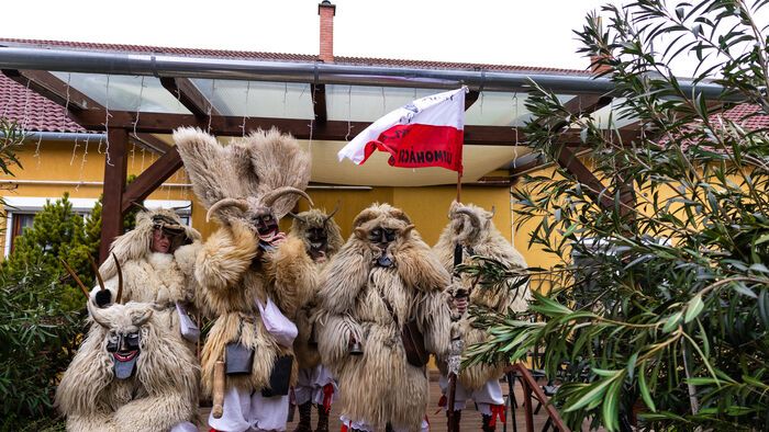 Mohácsi busójárás