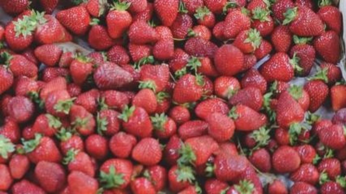 Termékvisszahívás: ne egye meg ezt az epret, permetszert tartalmaz