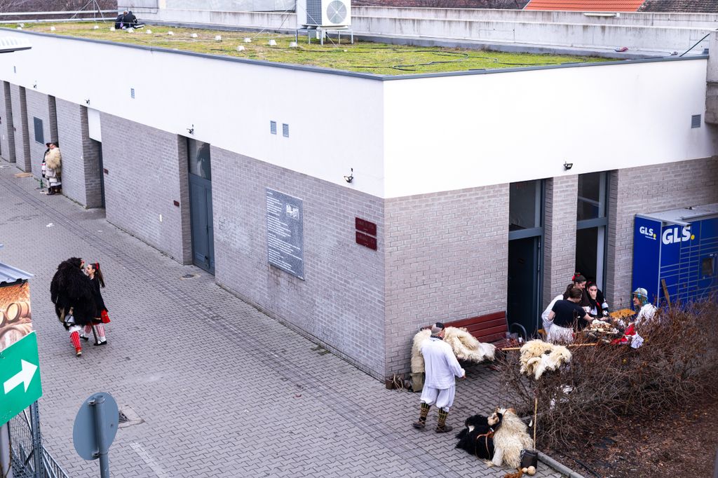 Mohácsi busójárás