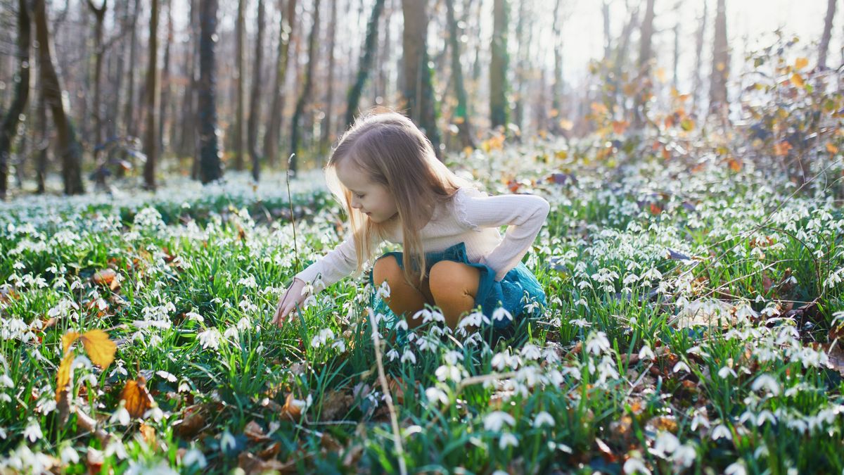 Itt az allergiaszezon, 18 fokkal érkezik a március + videó