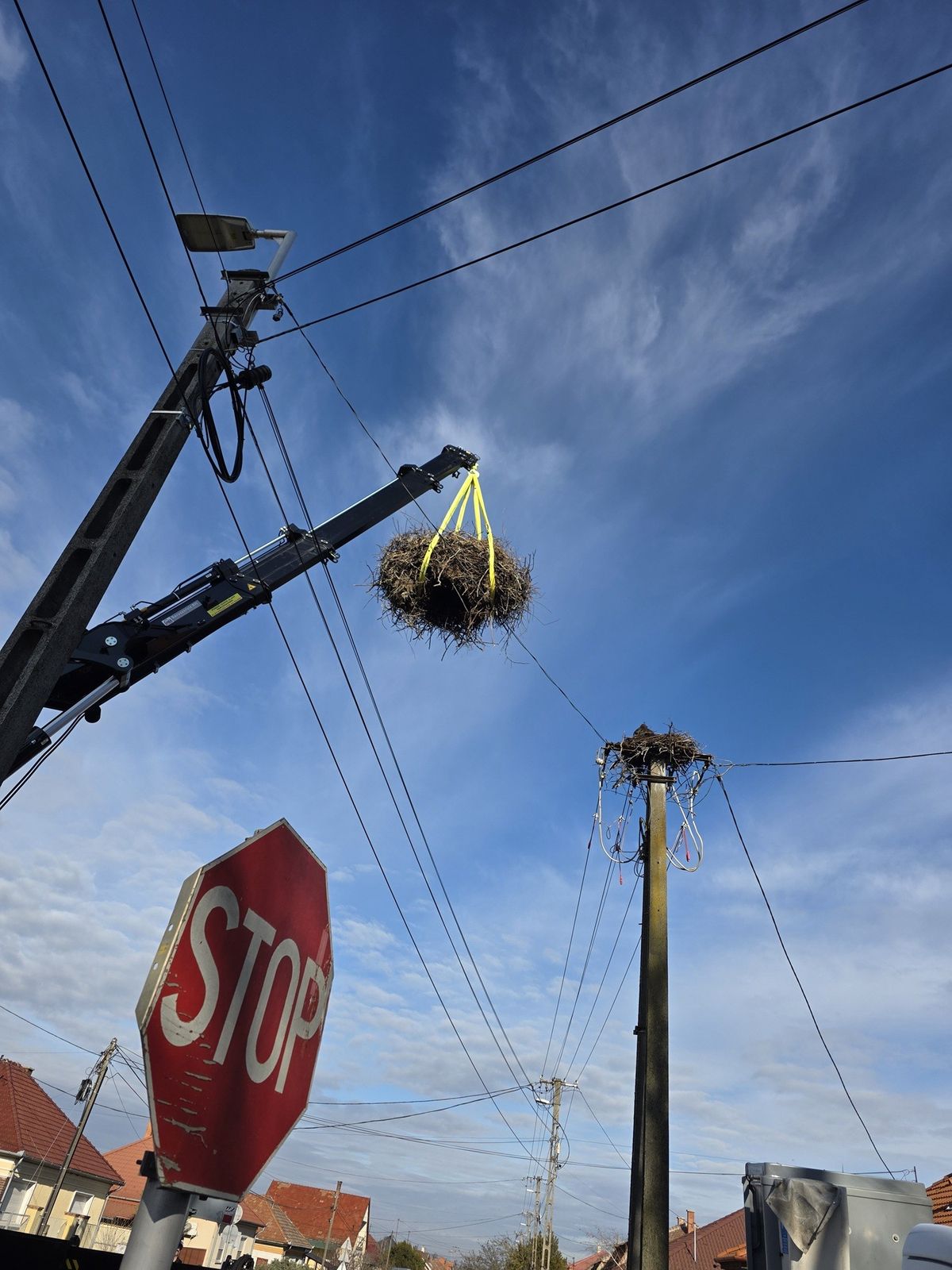 Az E.ON munkatársai dolgoznak egy gólyafészken.