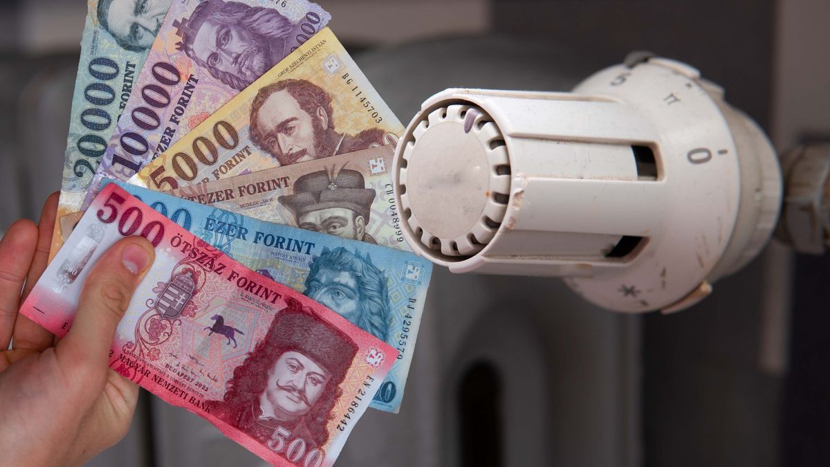 Rezsistop: kinek jár, mennyi, mikor és hogyan? / Fotó: Kamil Zajaczkowski / Shutterstock