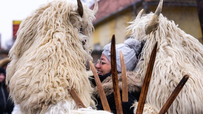 Mohácsi busójárás