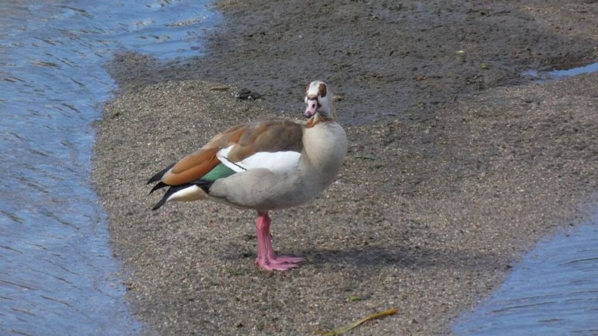 Veszélyben a Kárpát-medence természeti öröksége