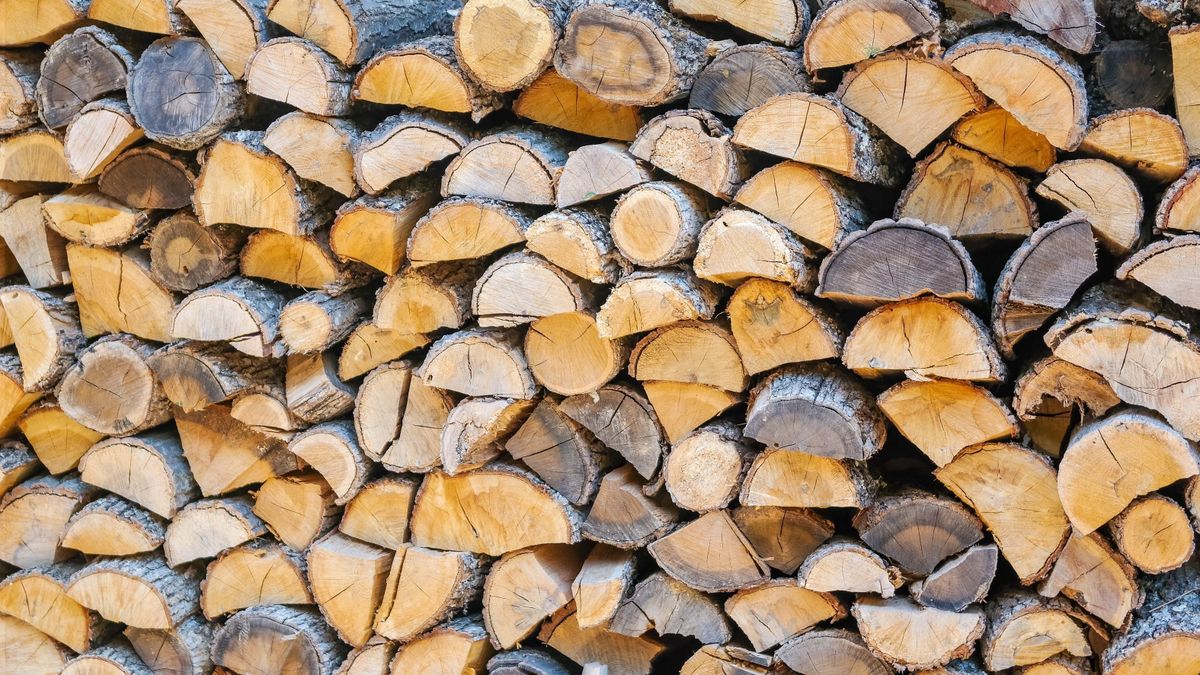 A balatonszemesi önkormányzat fáját osztogatta szociális tűzifaként a Tisza jelöltje?