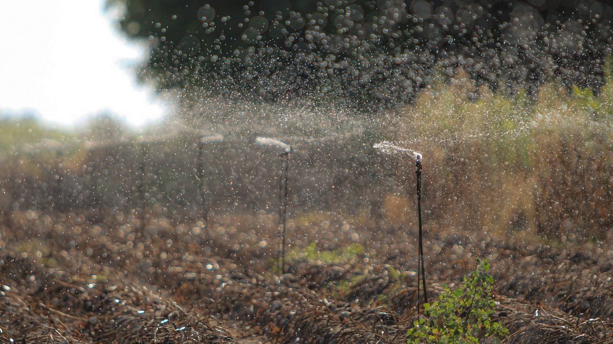 Így alakulnak a gazdák vízszolgáltatási díjai idén