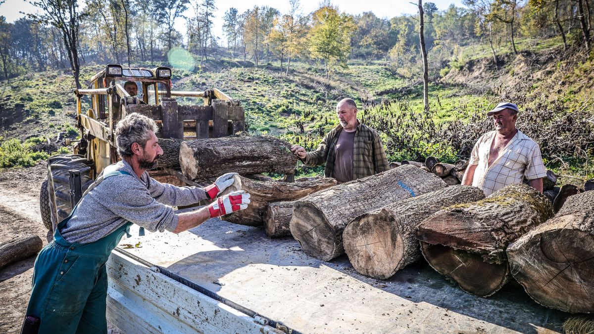 A HVG dolgozó szegényeknek nevezi a cigányokat