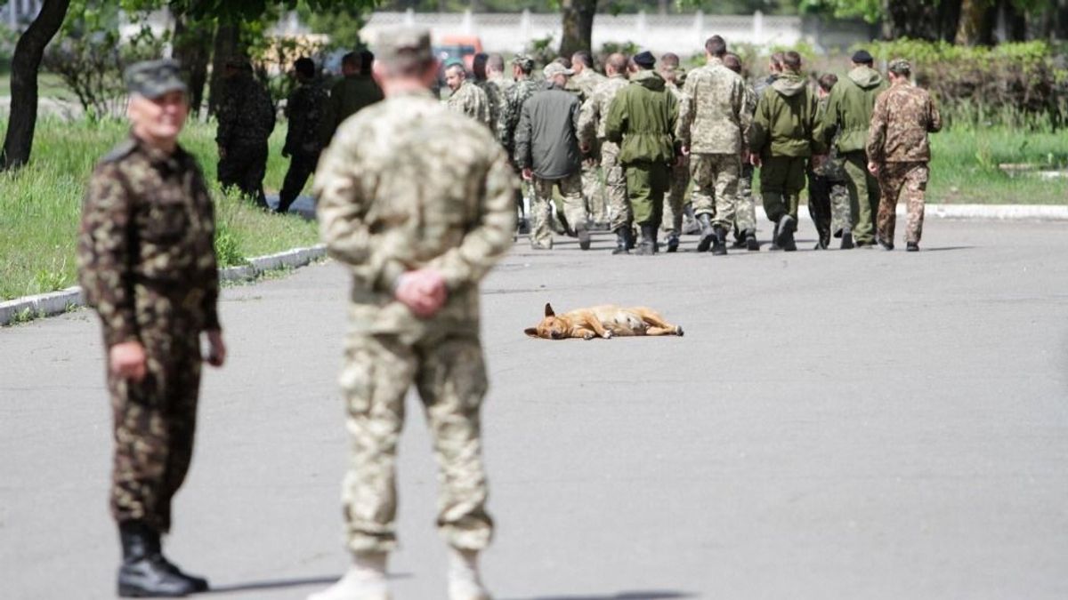 Kényszersorozás: az ukrán toborzók csoportosan csaptak le a civilekre + videó