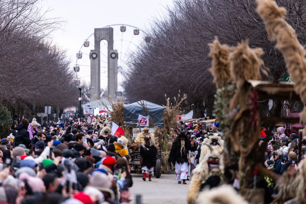 Mohácsi busójárás