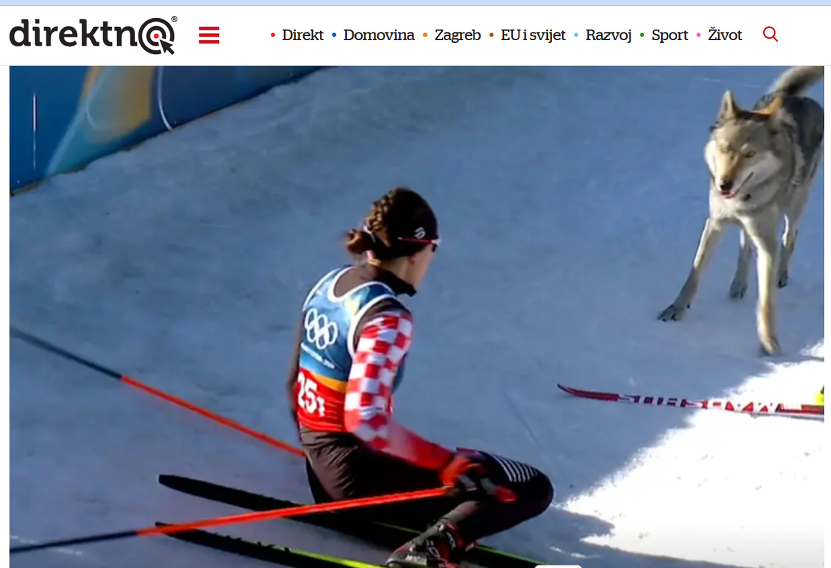  A horvát Tena Hadzic és Nazgul, a csehszlovák farkaskutya találkozása 