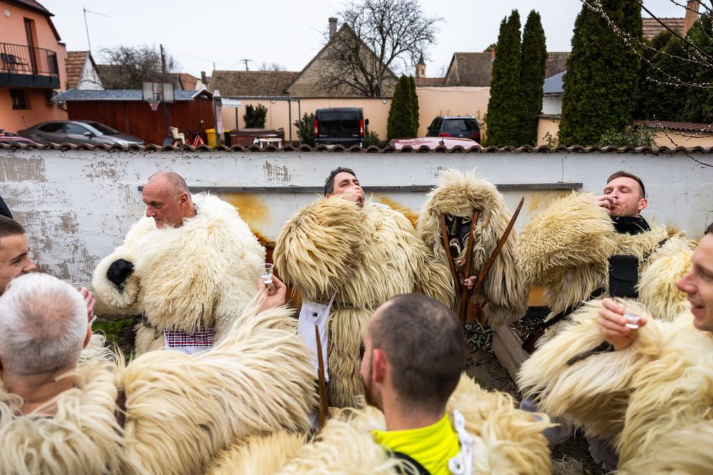 Mohácsi busójárás