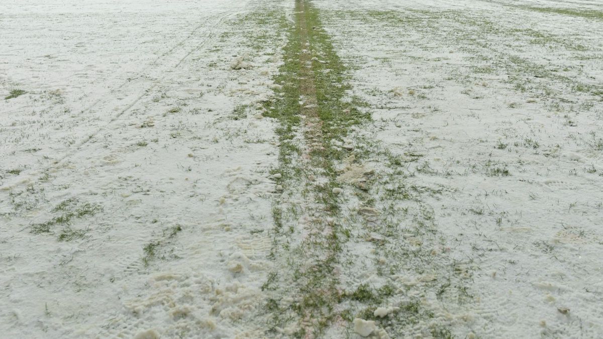 Veszélyben a Fradi bulgáriai meccse? Az edző is havat lapátol + videó