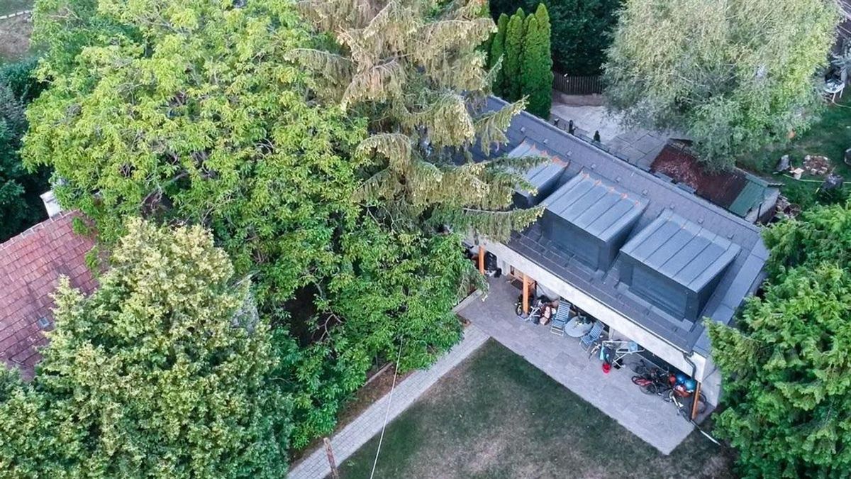 Tordai Bence luxusingatlan