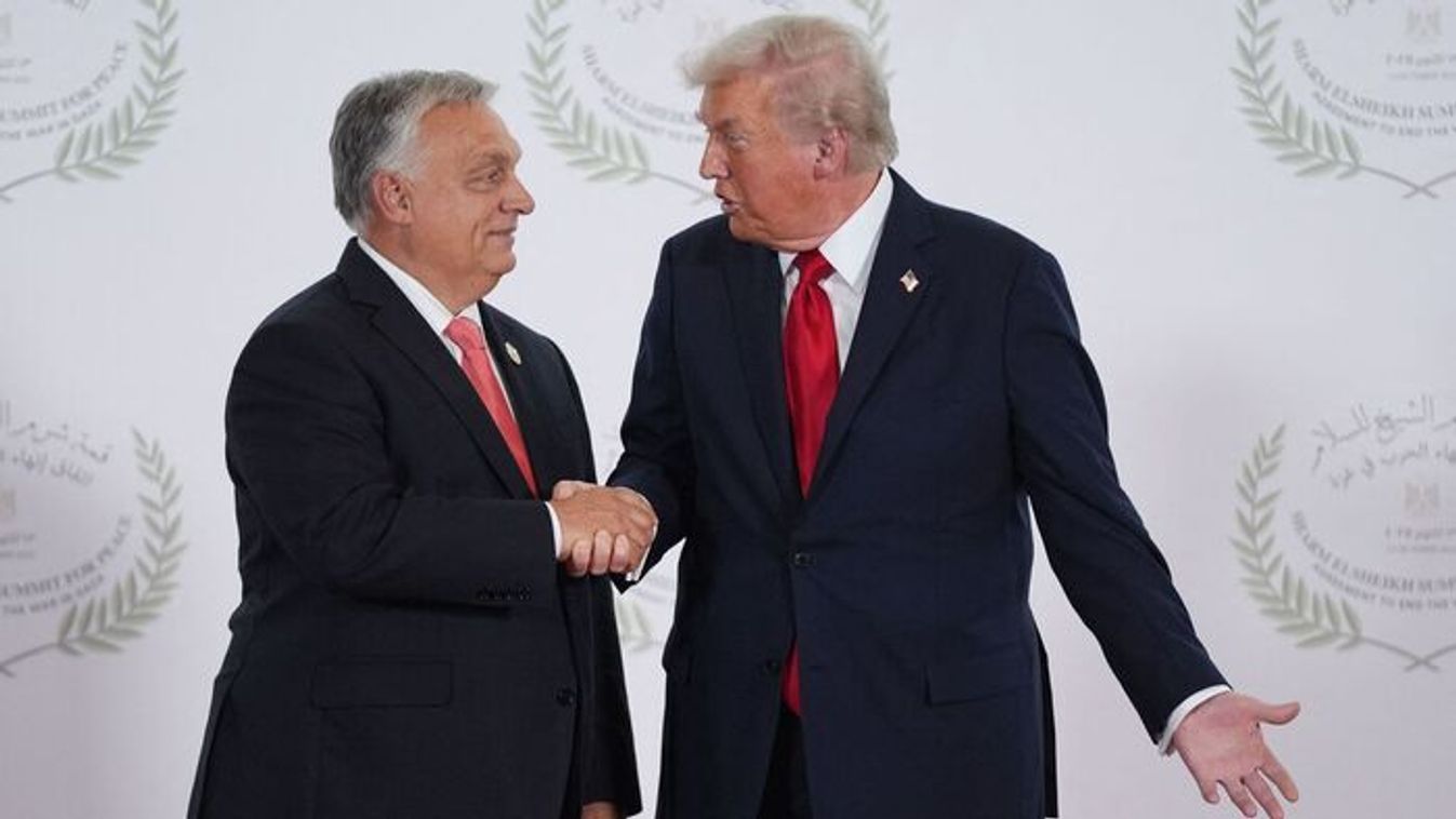 Donald Trump and Viktor Orban (Photo: Pool/Evan Vucci)