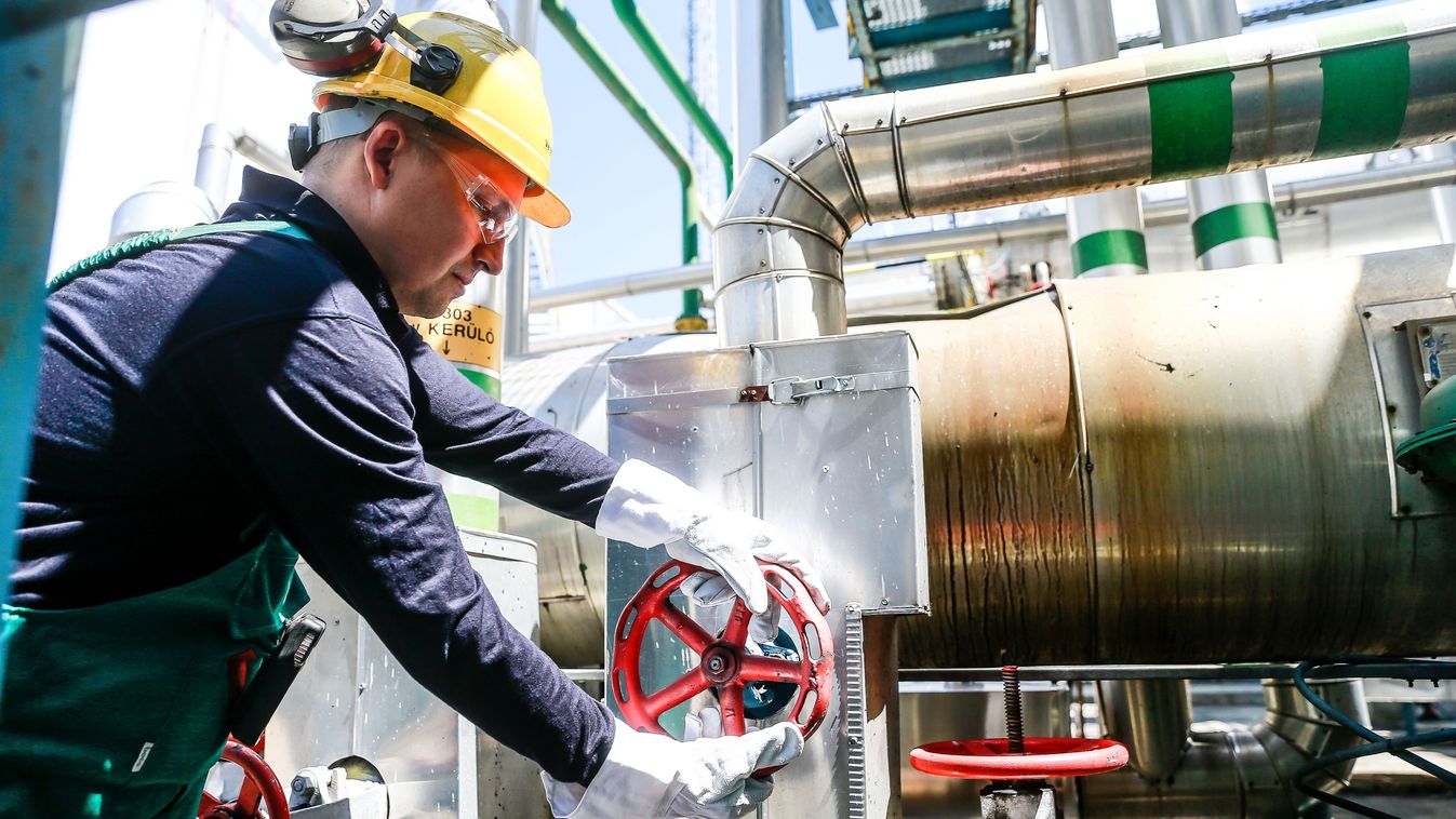 Cikk kép: undefined