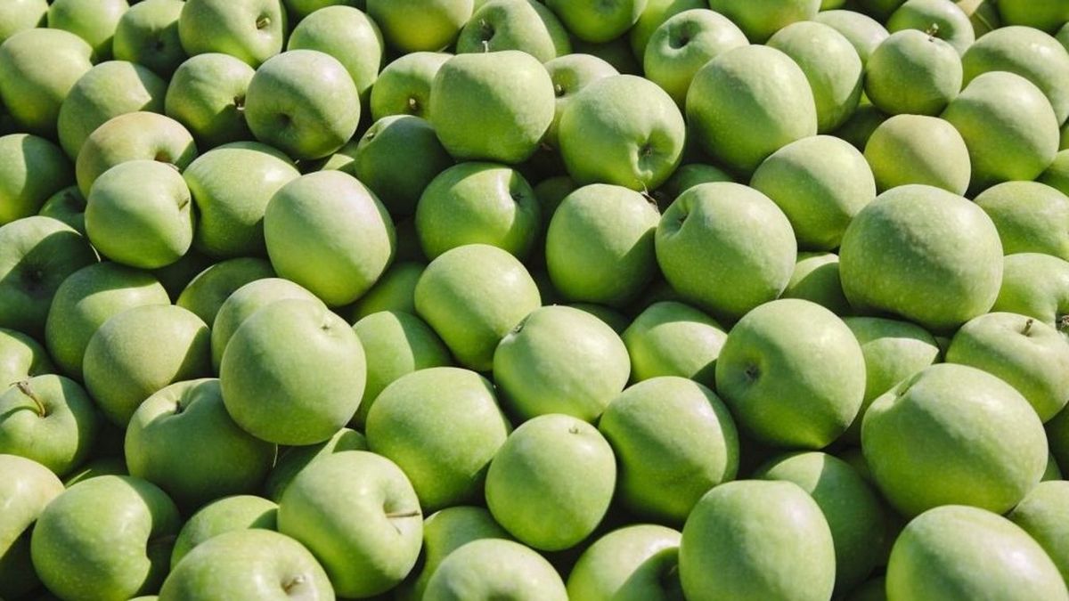 Lejárató kampány a magyar almatermelők ellen – megszólalt a kamara