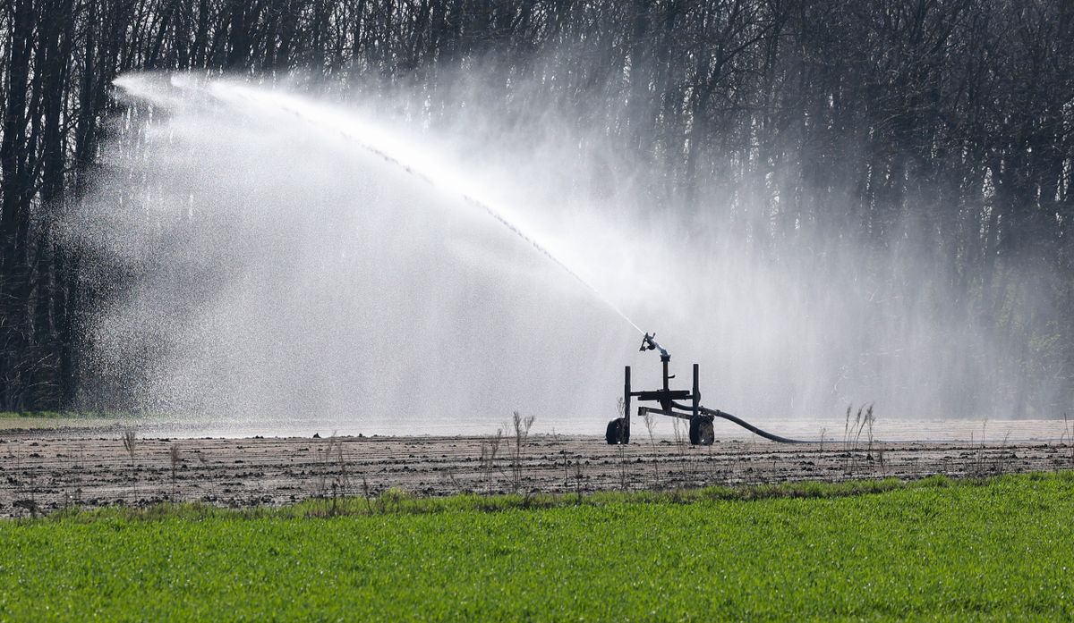 Idén is kedvezményes vízszolgáltatási díjak várnak a gazdáskra. / Fotó: Karnok Csaba