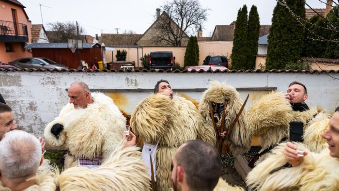 Mohácsi busójárás