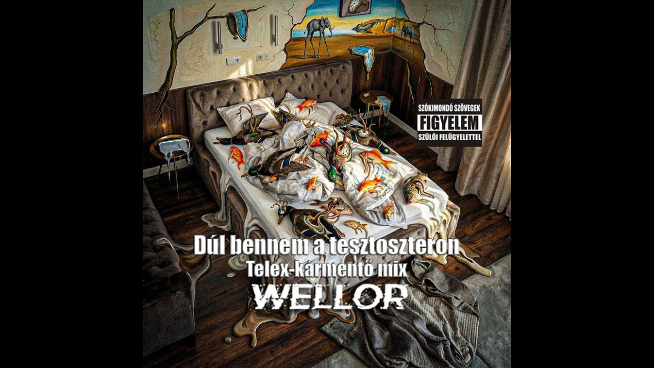 Cikk kép: undefined