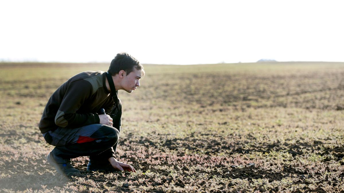 Mennyit keres egy kezdő gazda Magyarországon?