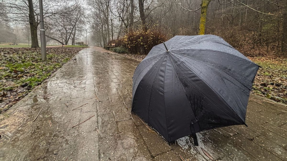 Szürke kabátban, esernyővel köszönt be február