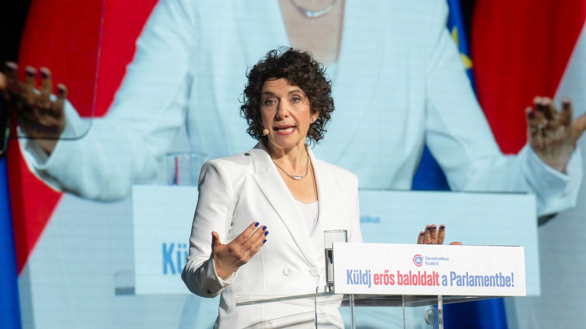 Dobrev Klára berúgta a kampányt: elvi kérdésnek tartja, hogy elvegyék a határon túliak szavazati jogát