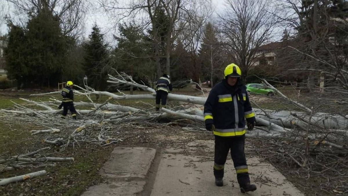 Ez még az autópályán is gyorshajtás lenne: 135,7 kilométeres volt a szél a Bakonyban