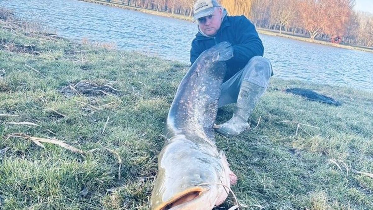 Gigaharcsa akadt a horogra Tiszakécskén