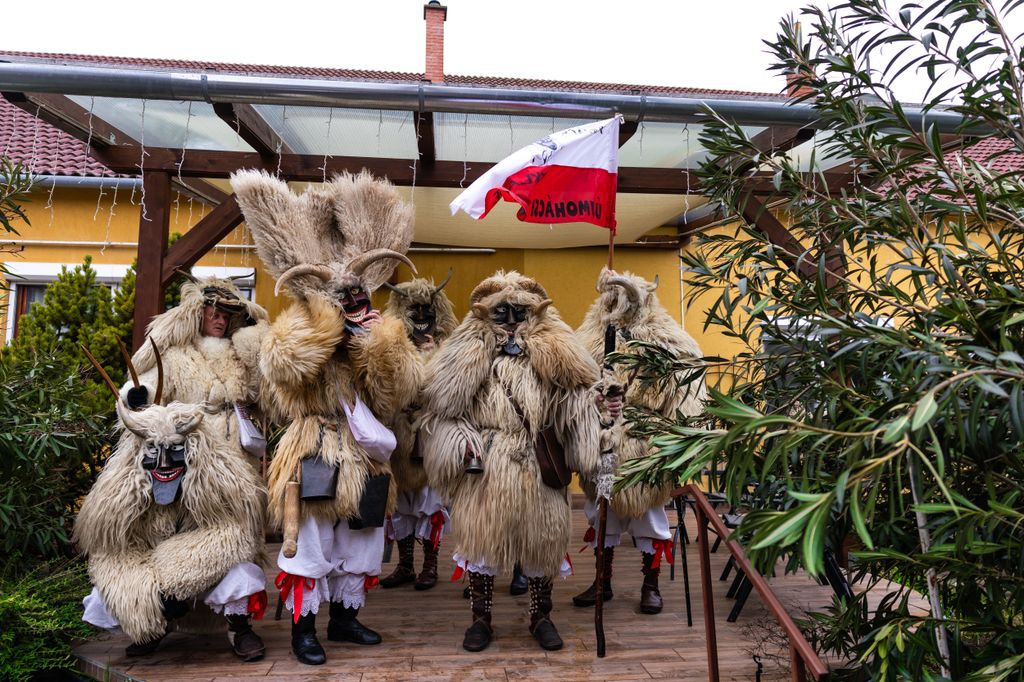 Mohácsi busójárás