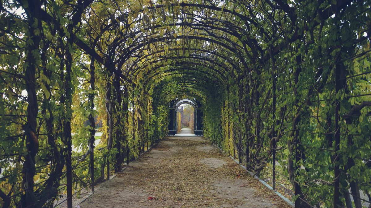 Idillinek tűnő életet élt az idős szegedi házaspár, benéztek a kertjükbe, és gyorsan kiderült az oka