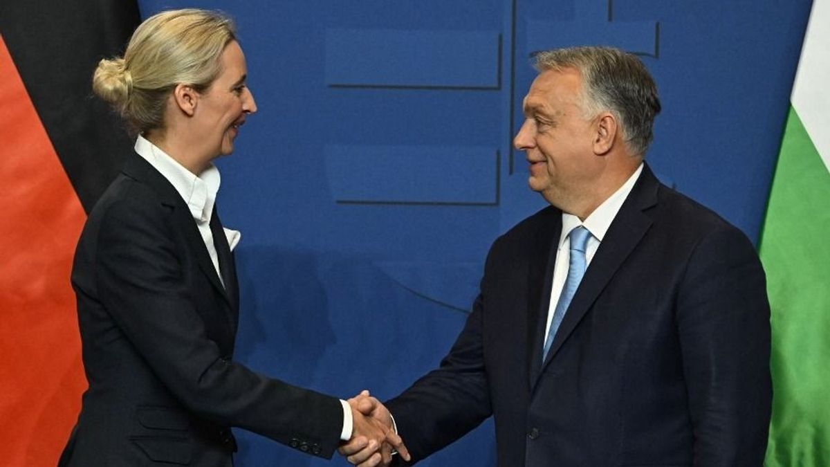 Az AfD-re hagyta a vagyonát egy férfi, aki Hévízen élt