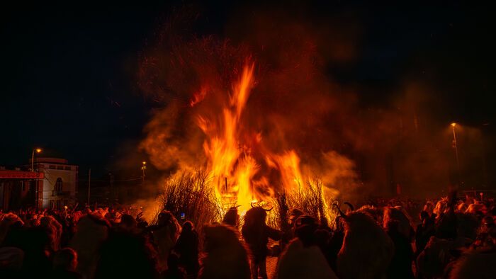 Mohácsi busójárás