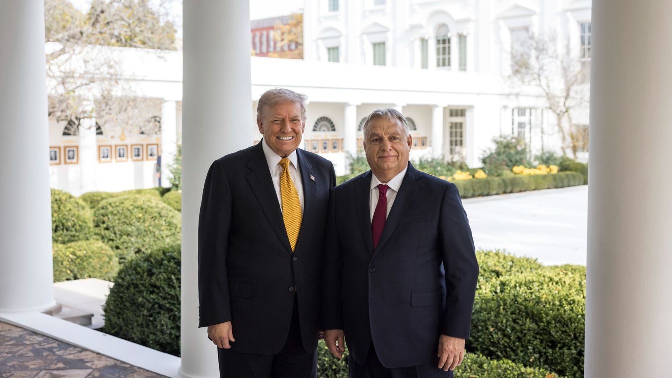 Cikk kép: undefined