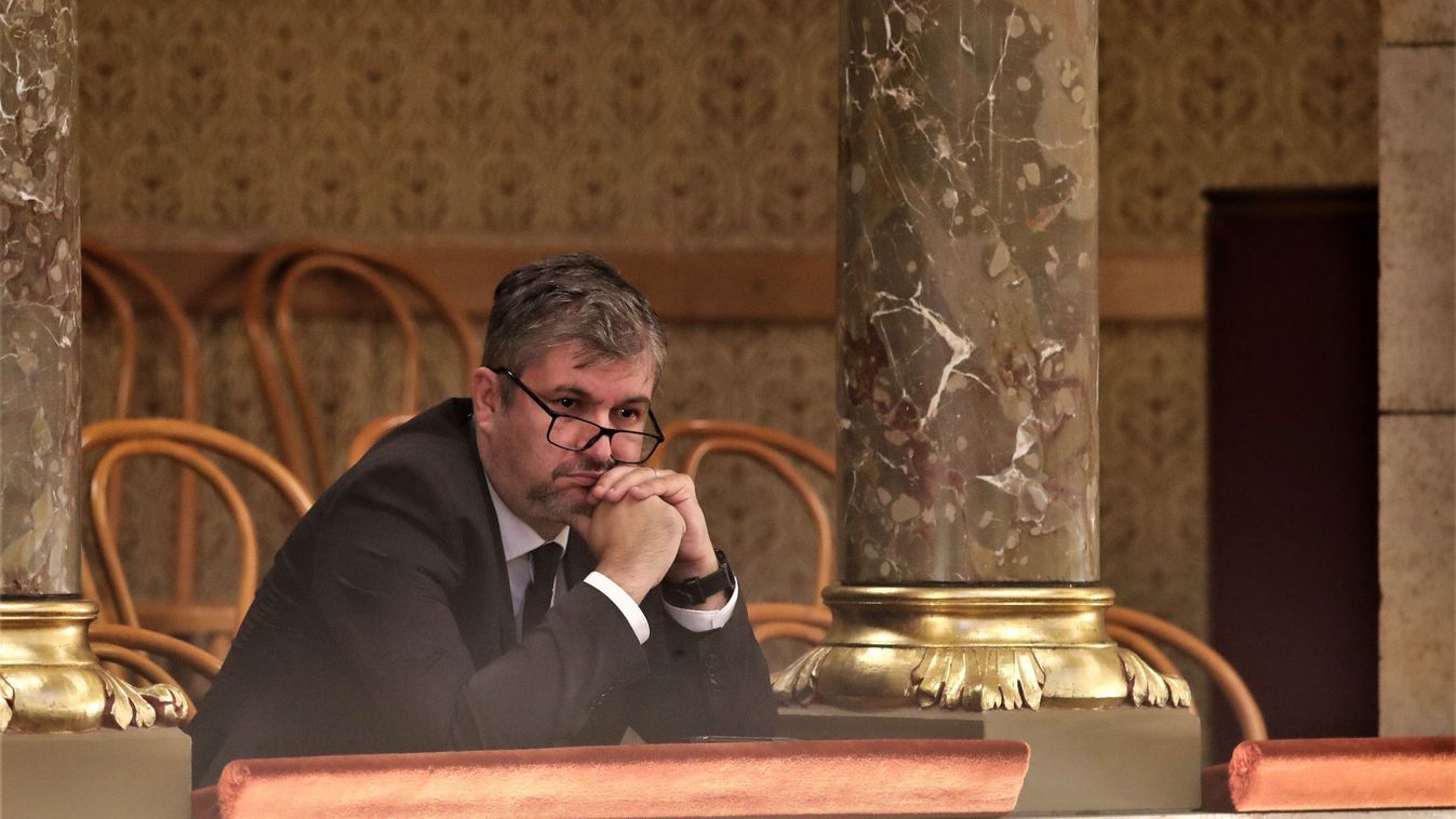 Hadházy Ákos Fotó: Havran Zoltán