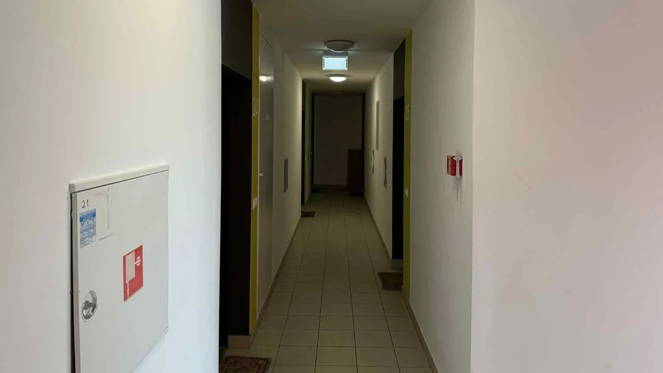 Több szomszéd is hallotta a fitneszmodell segélykiáltását  Fotó: Bors