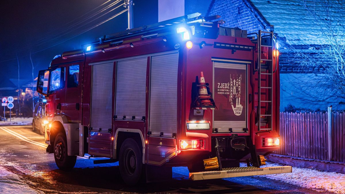 Vádemeléssel jutalmazták az érzéketlen lájkvadászt