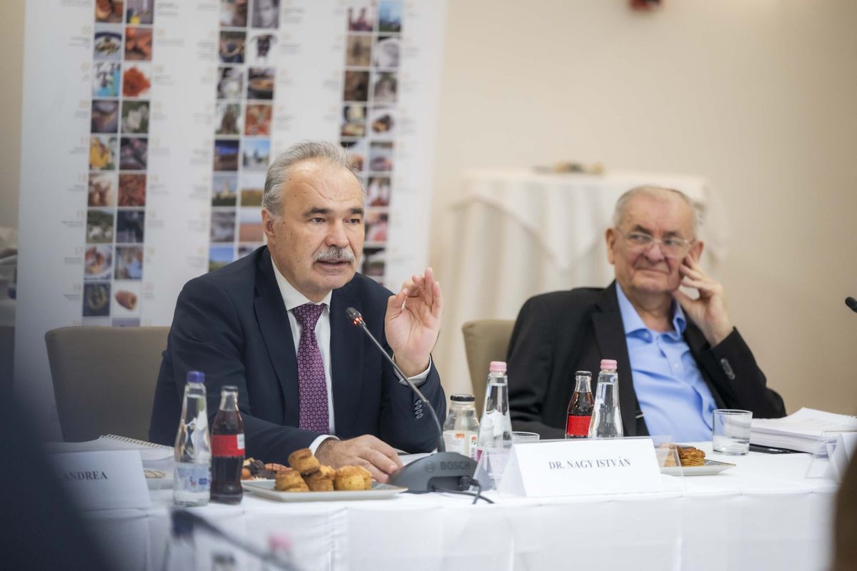 hungarikumok, Nagy István