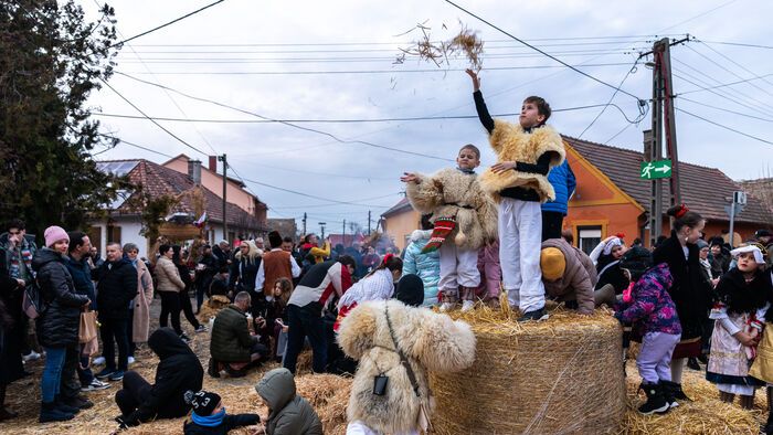 Mohácsi busójárás