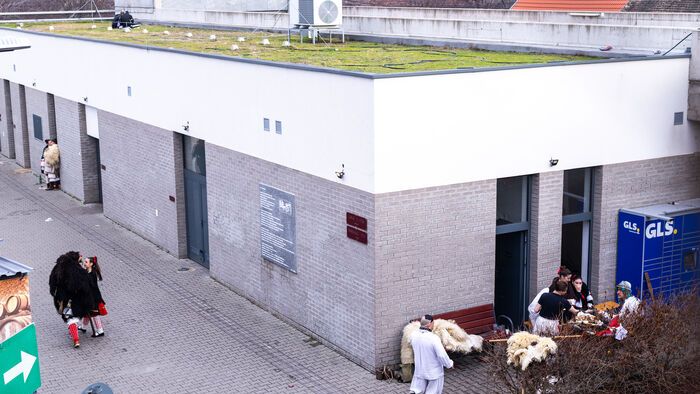 Mohácsi busójárás