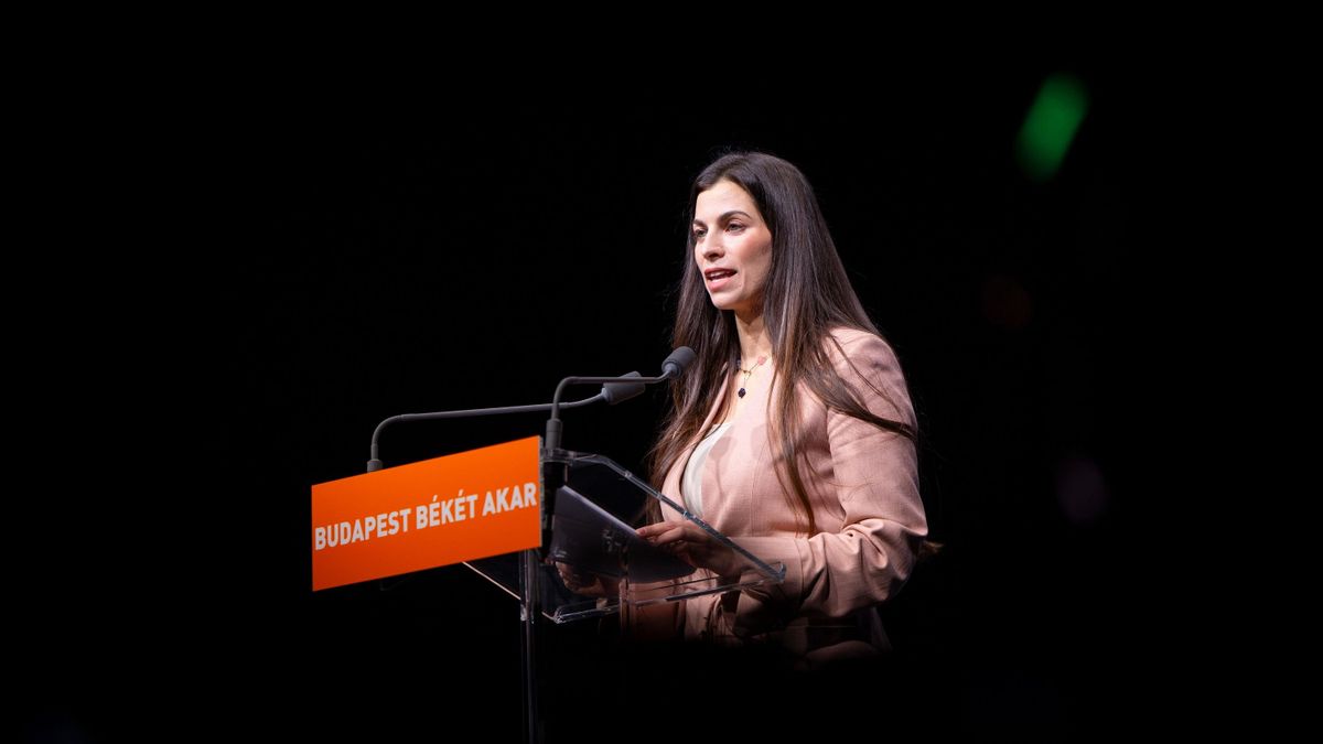 Szentkirályi Alexandra: Ezt egy kisiskolás is ki tudná számolni, de Brüsszelnek nem megy
