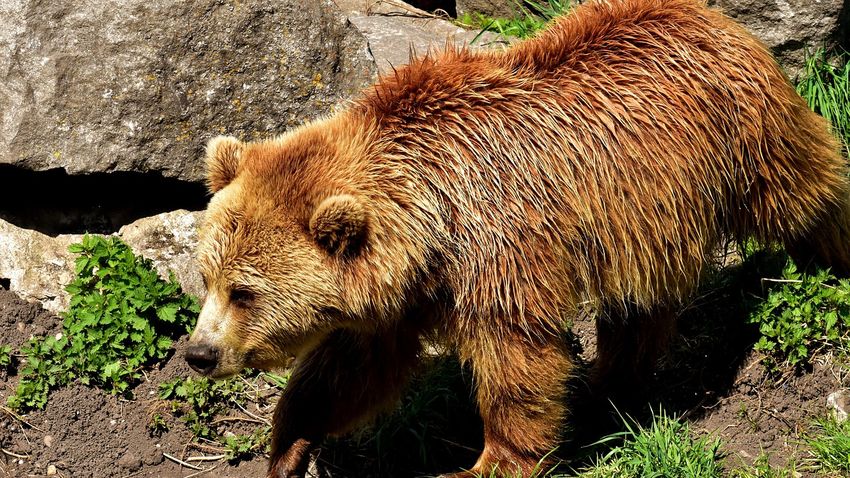 Kvíz kérdést ábrázoló kép.