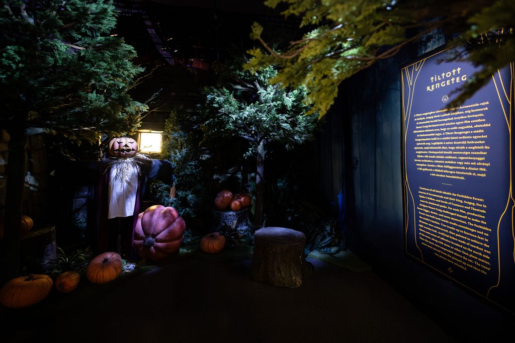 Harry Potter kiállítás